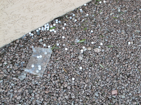 Poison found lying on ground image. 